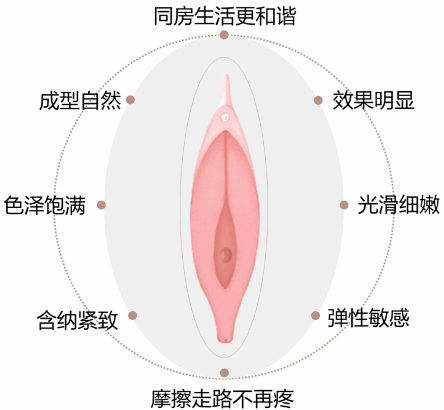 理想小阴唇型态1.png